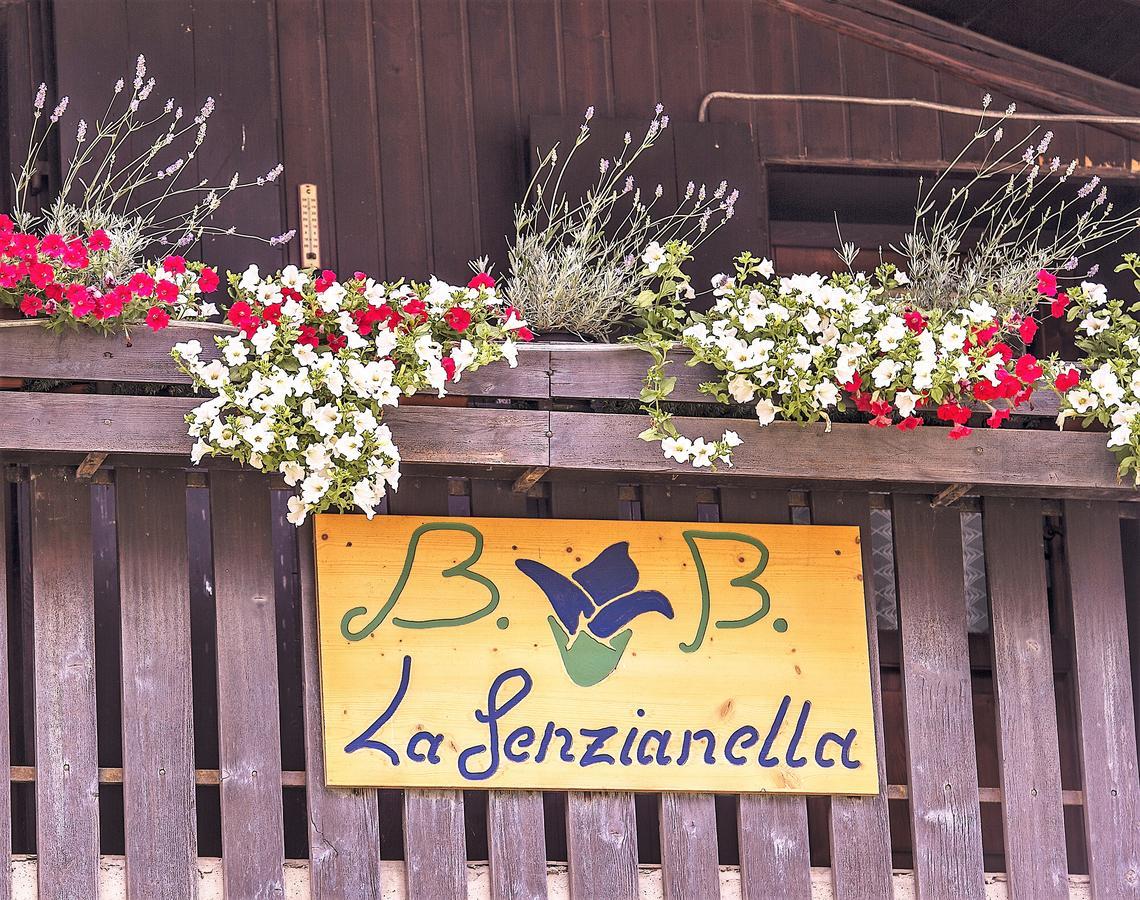 B&B La Genzianella Perarolo di Cadore Екстер'єр фото